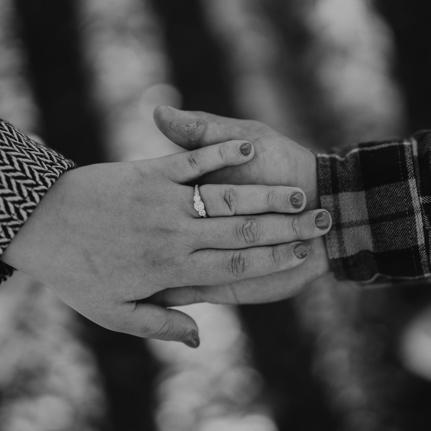 Engagement Pictures