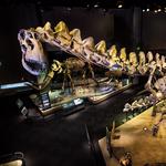 Perot Museum of Nature and Science
