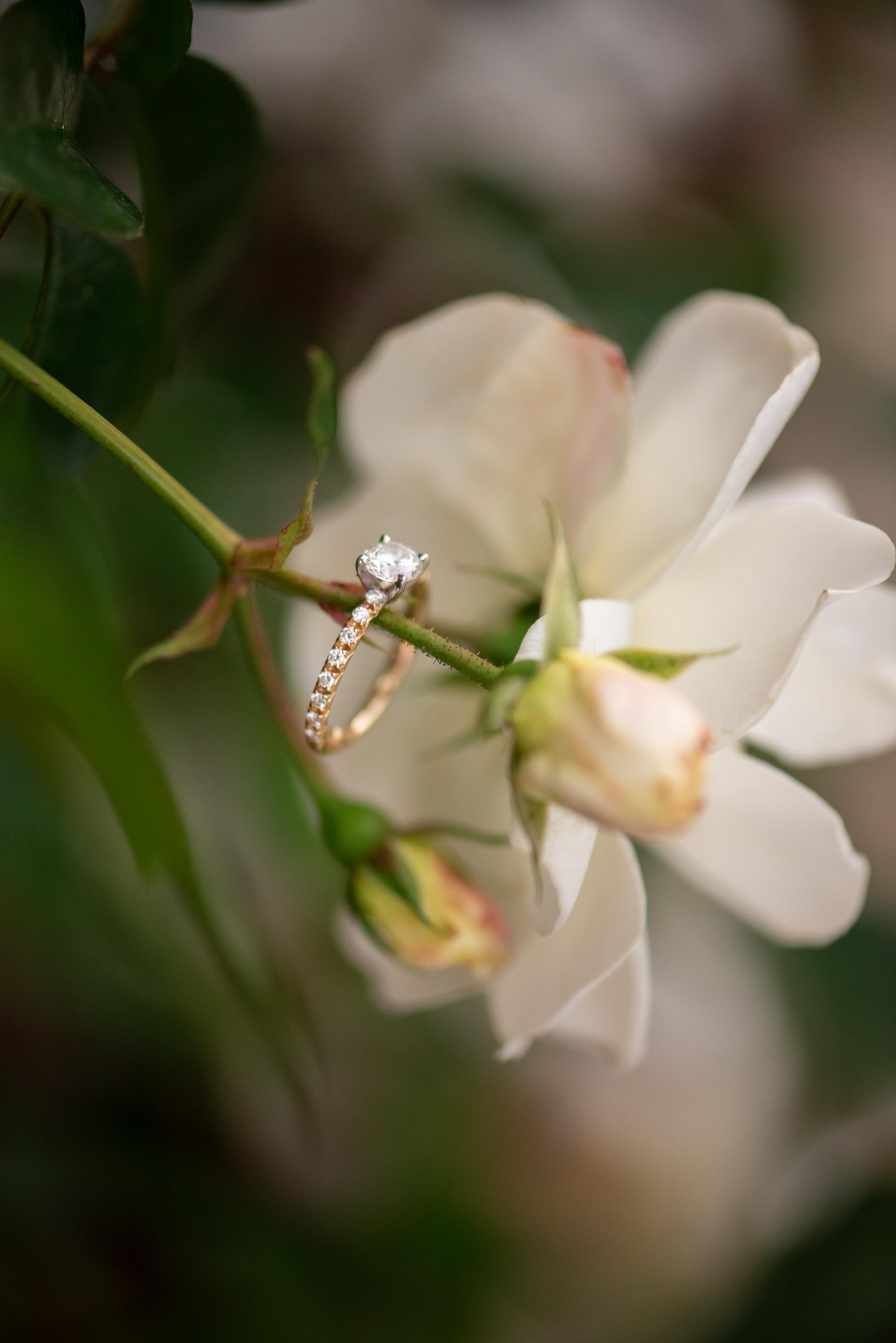 The Wedding Website of Kristi Kleine and Thomas Hardenbergh