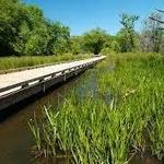 Ivy Creek Greenway