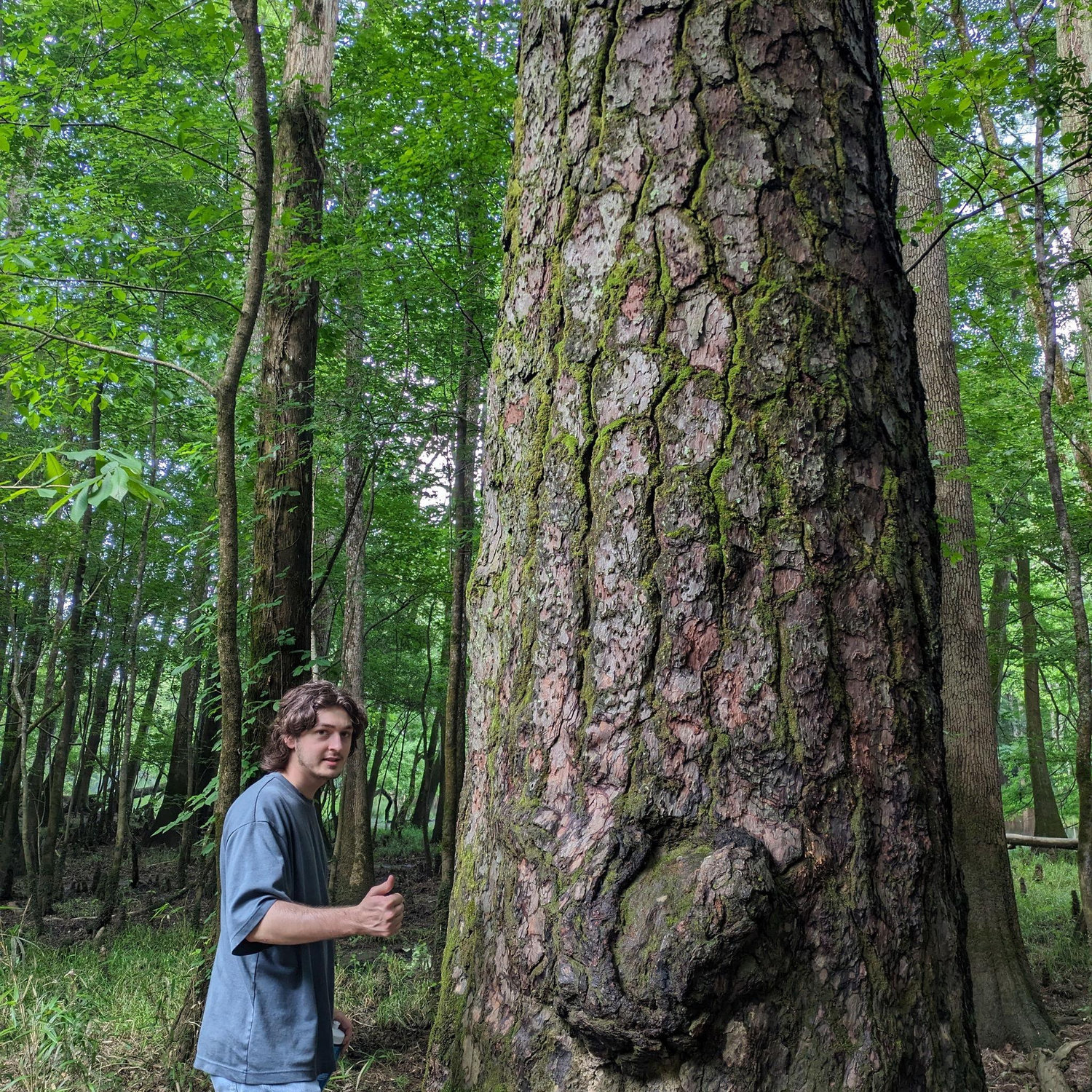 Jack with the tallest tree in Congaree National Park
