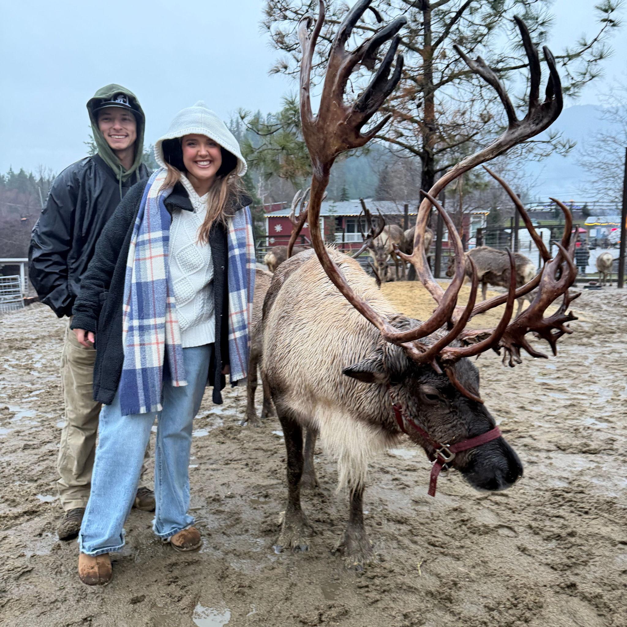 Feeding Reindeer in Leavenworth.