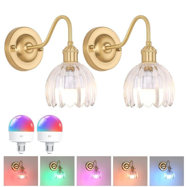 Shenmoyl Vintage Battery Operated Wall Sconce Set of 2, 5000mAh Rechargeable Wall Light, Indoor Battery Powered Wall Lamp for Bedside Bedroom Living Room, Tulip Clear