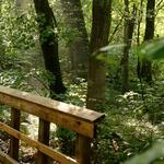 Liberty Mountain Hiking Trails