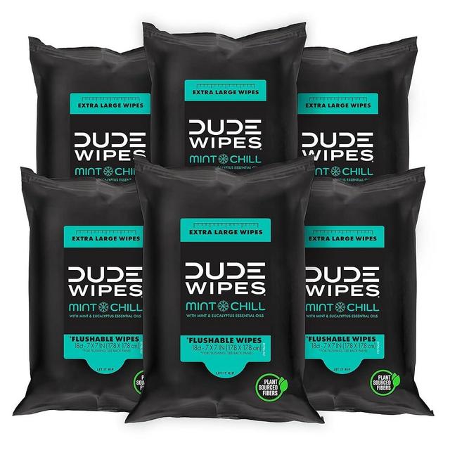 DUDE Wipes - Flushable Wipes Travel Pack - 6 Pack, 108 Wipes - Mint Chill Extra-Large Adult Wet Wipes - Vitamin-E, Aloe Vera, Eucalyptus, and Tea Tree Oils - Septic and Sewer Safe Butt Wipes
