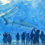 Virginia Aquarium & Marine Science Center