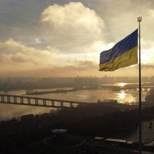 Charitable donation: Save Ukraine