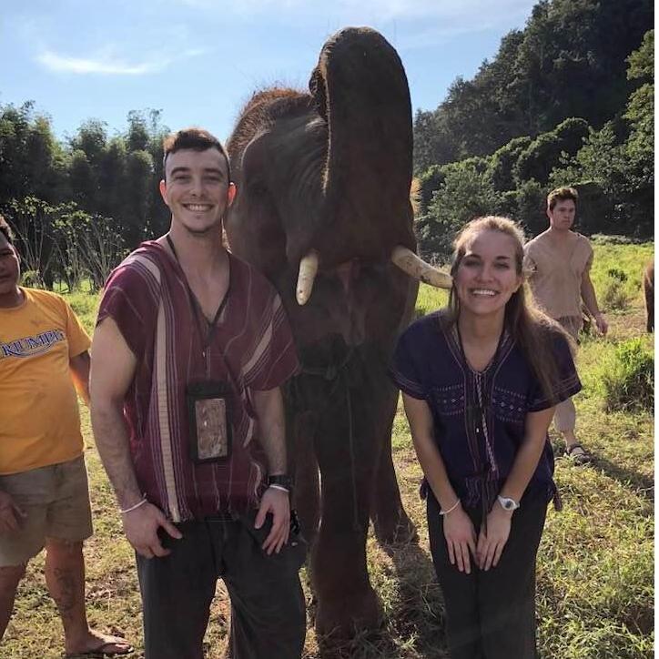Elephants!