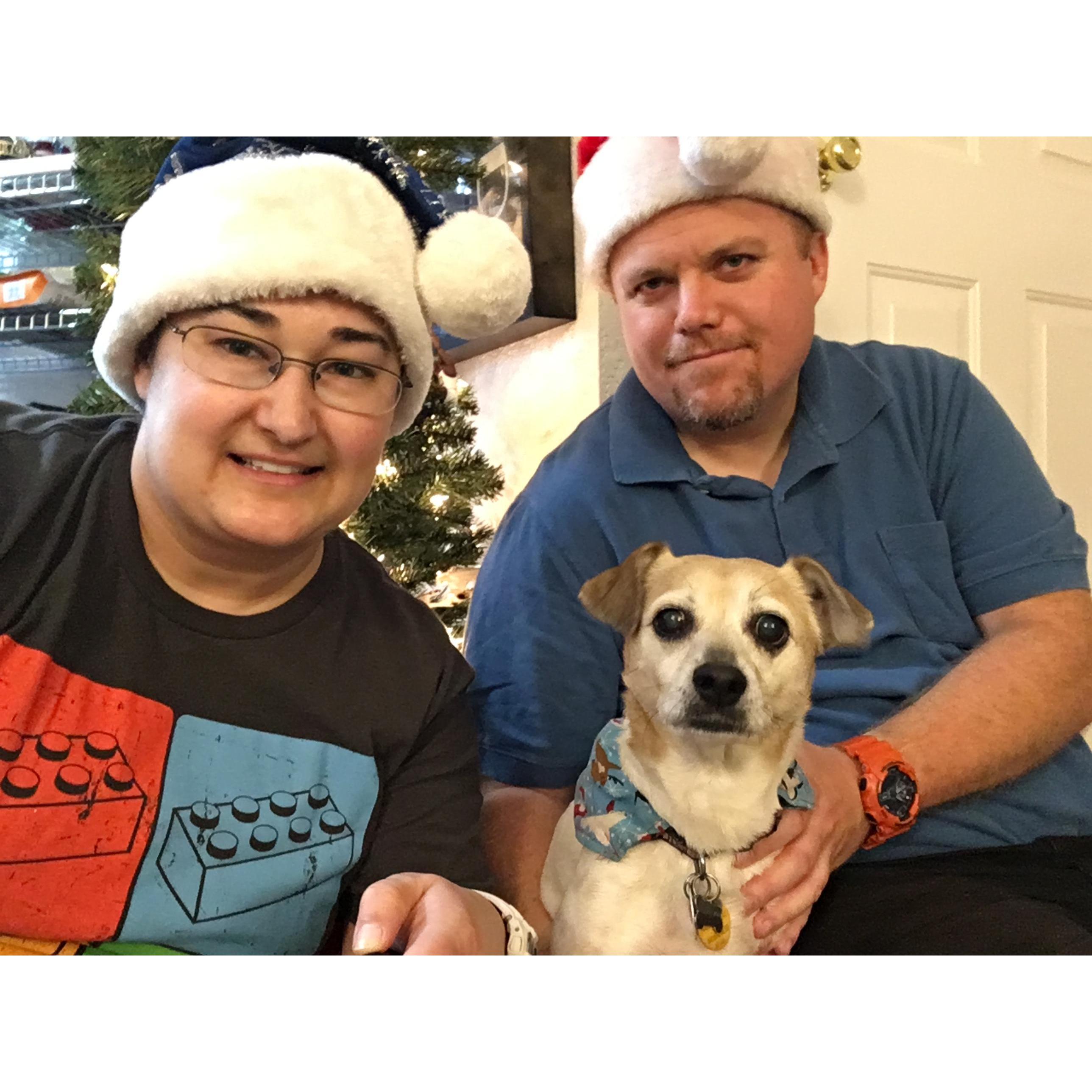 WE LOVE YOU, TIPSY!