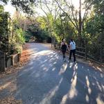 Los Gatos Creek Trail