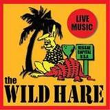The Wild Hare & Singing Armadillo Frog Sanctuary