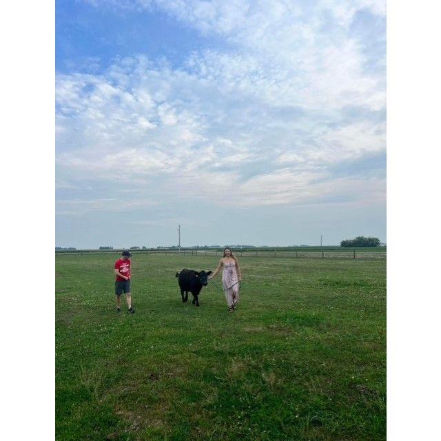 Walking a Calf at Alex's family farm in Owatonna, Minnesota