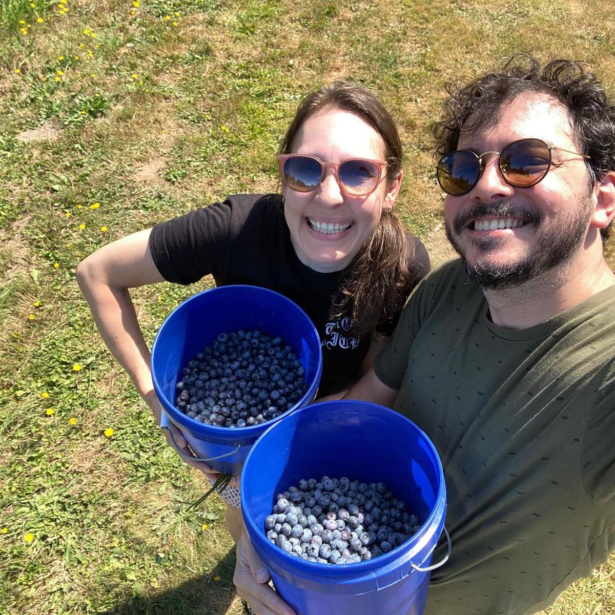 Picking blueberries near Mount Si