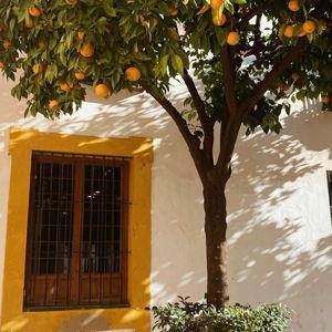 Our Stay in Cadiz