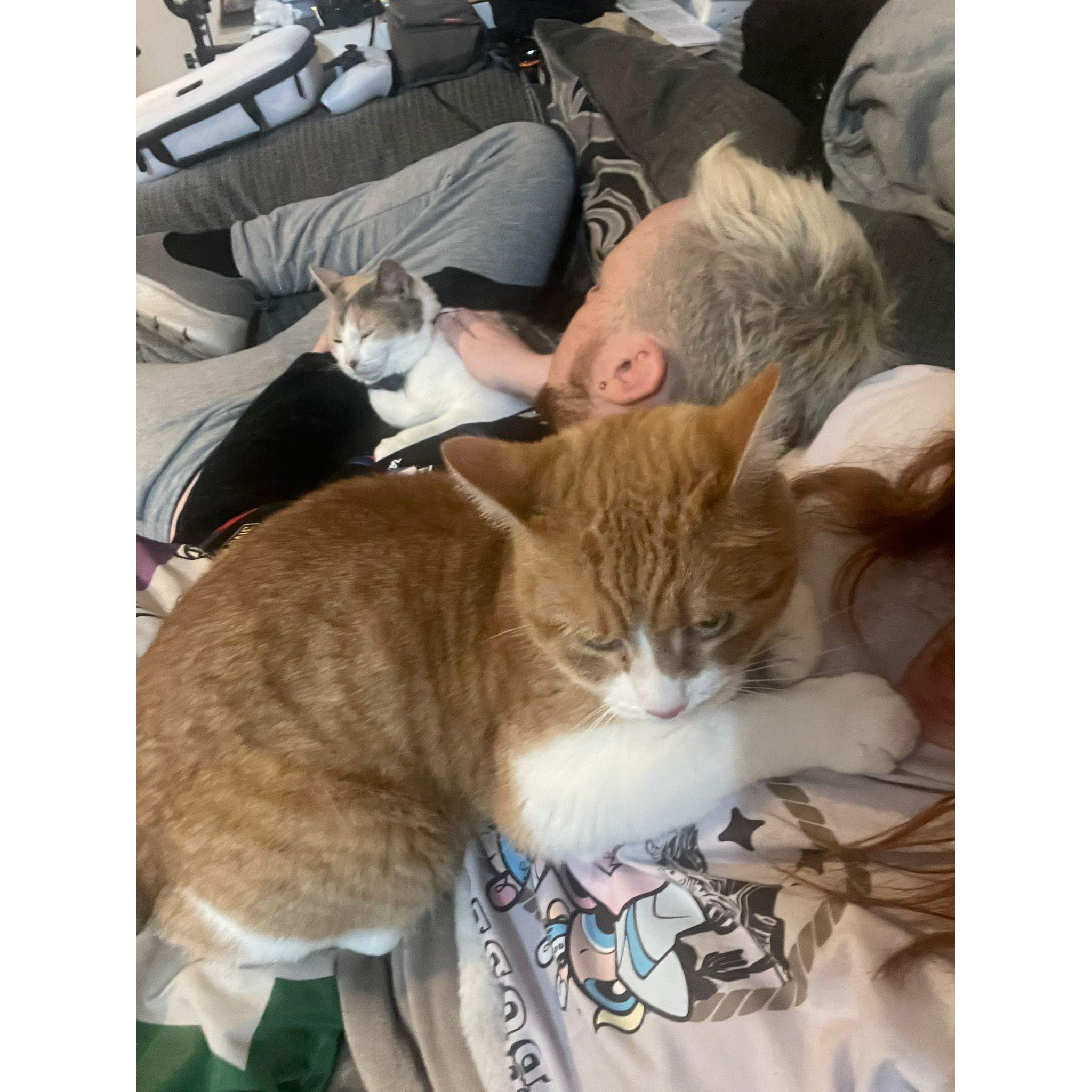 Nap time with the family.