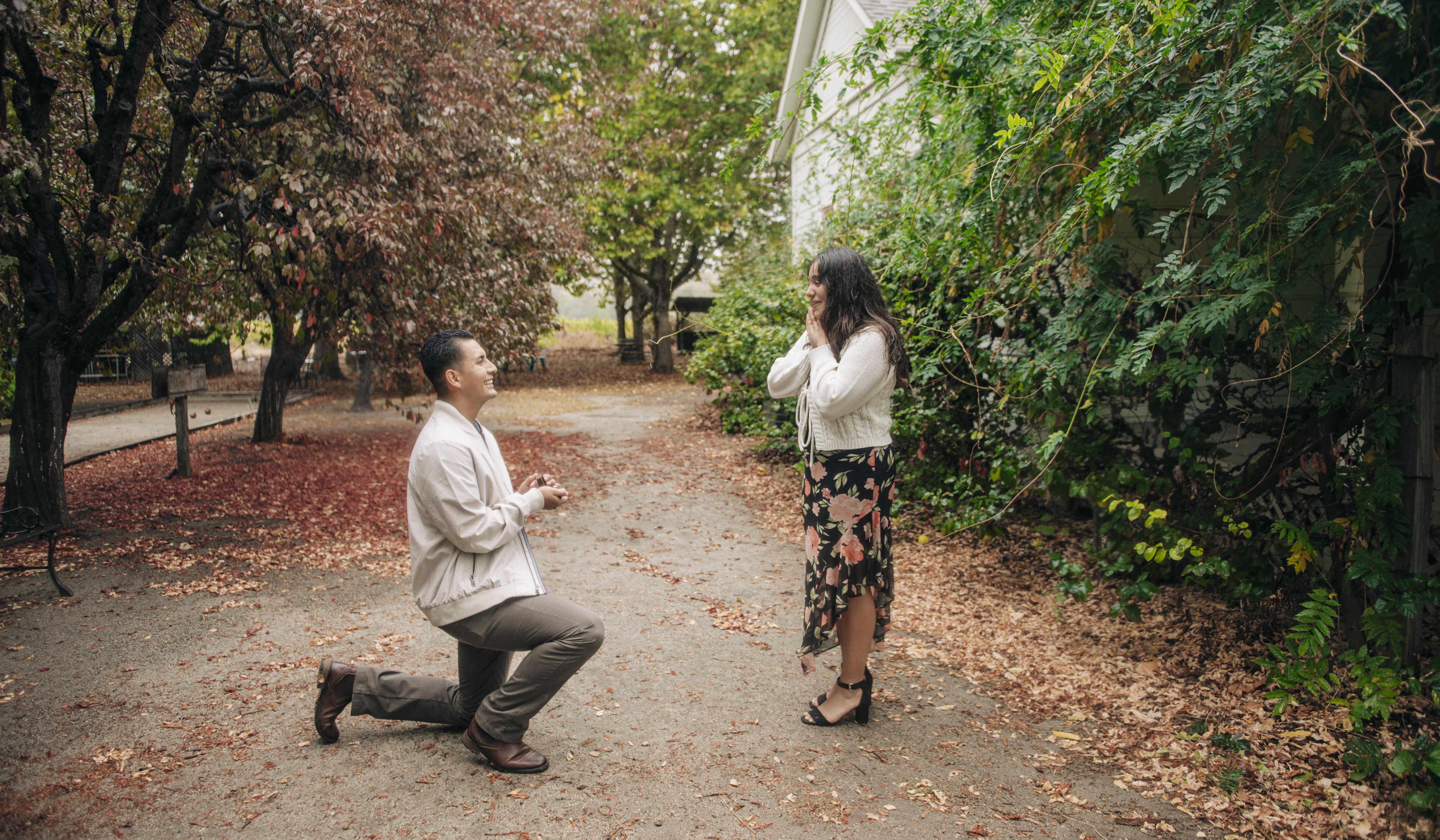 Hero Slideshow Image 1