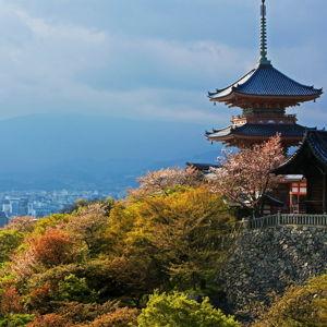 Day trip exploring Temples in Kyoto