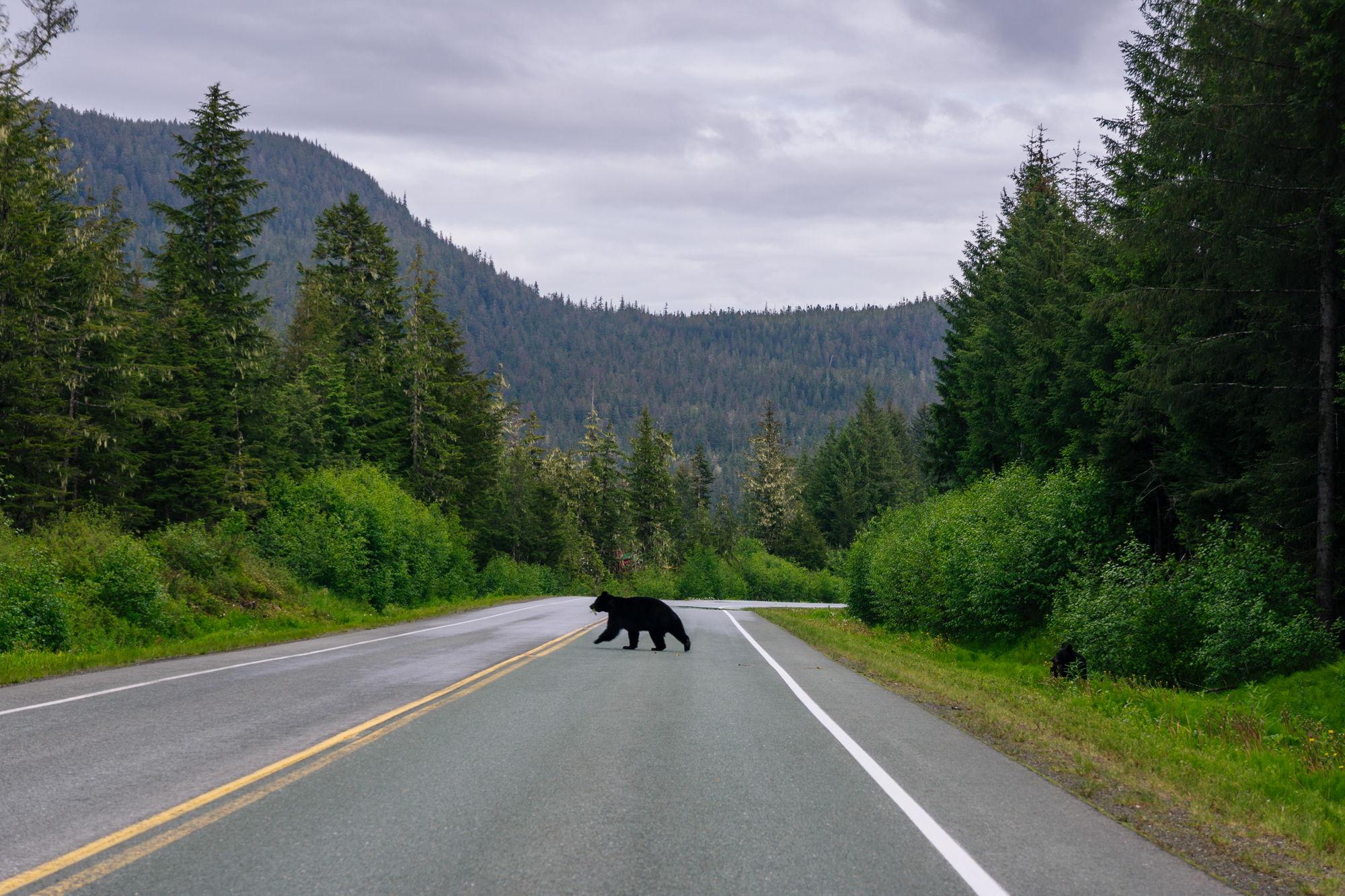 The Wedding Website of Paris Donohoe and Joe Comolli