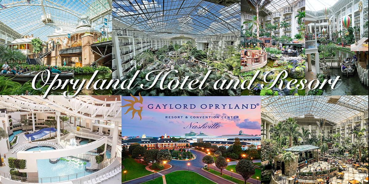 The Wedding Website of Iliana Royero Perez and Colonel Michael Lee Jones