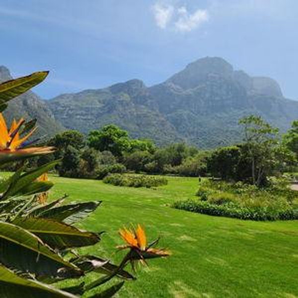 Private full day tour of the Cape Peninsula