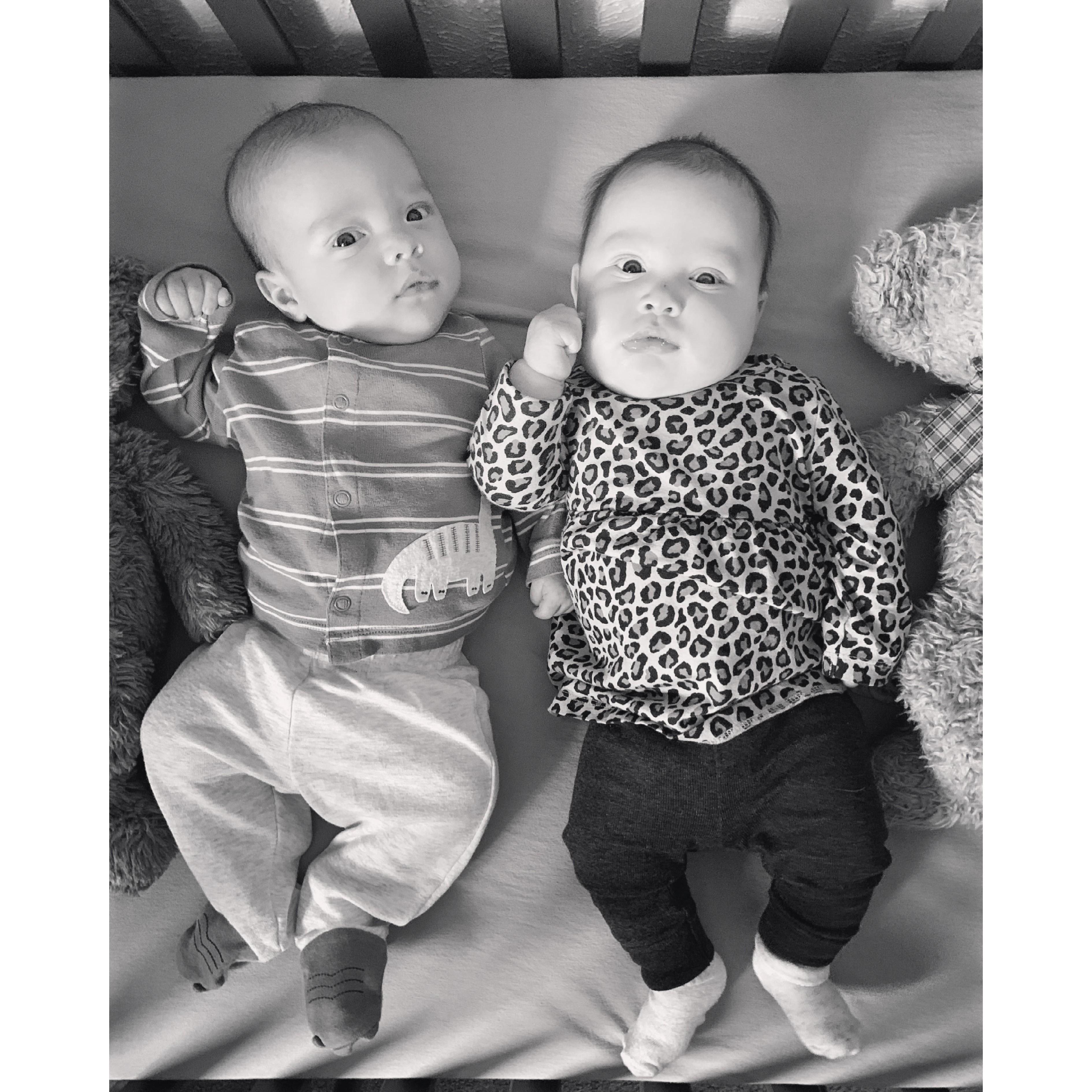 We love them so much!!!