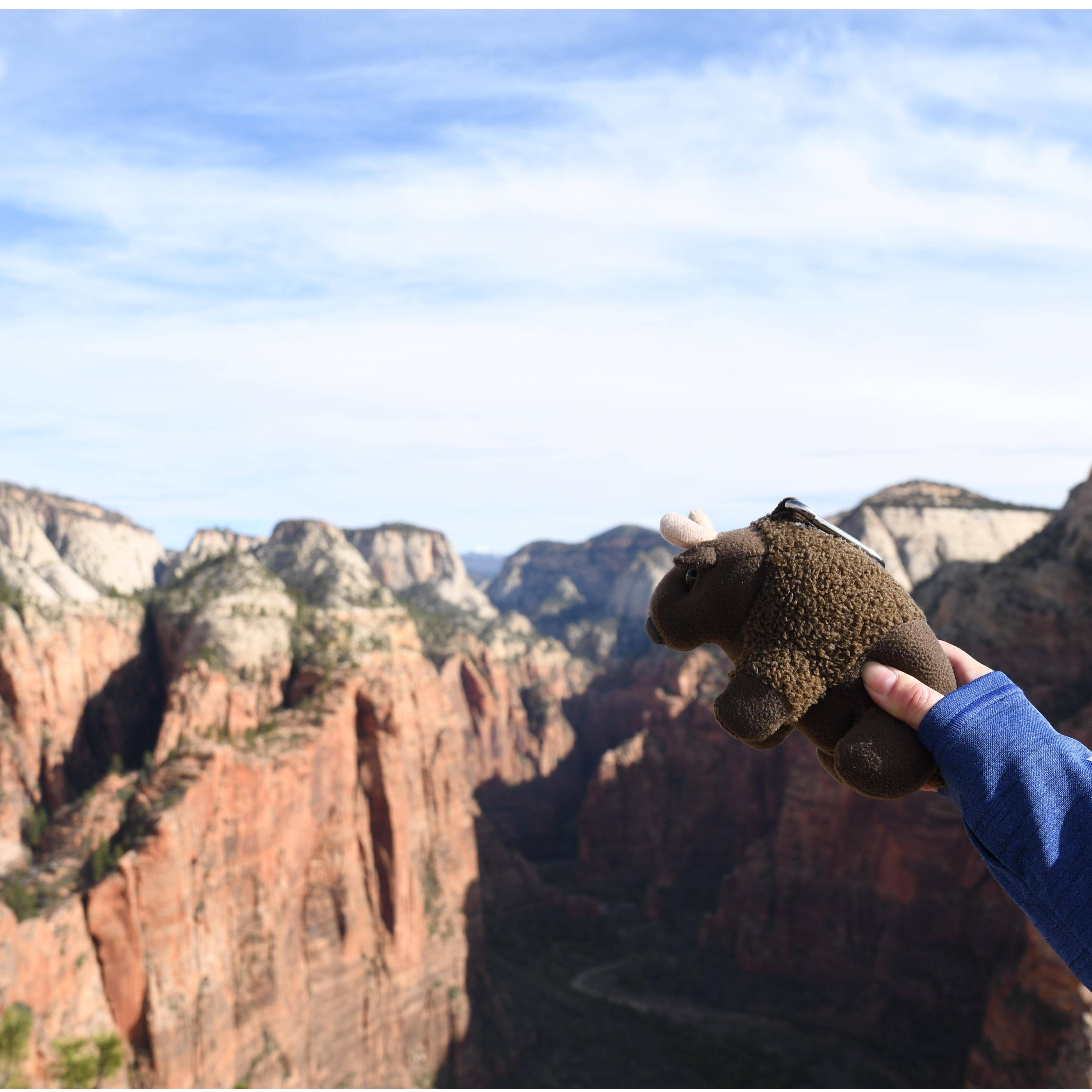 Buddy Bison joins Brad and Liza on all their trips.