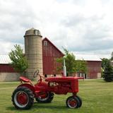 Mulberry Lane Farm