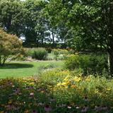 The Dawes Arboretum