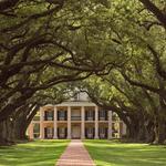 Boone Hall Plantation & Gardens