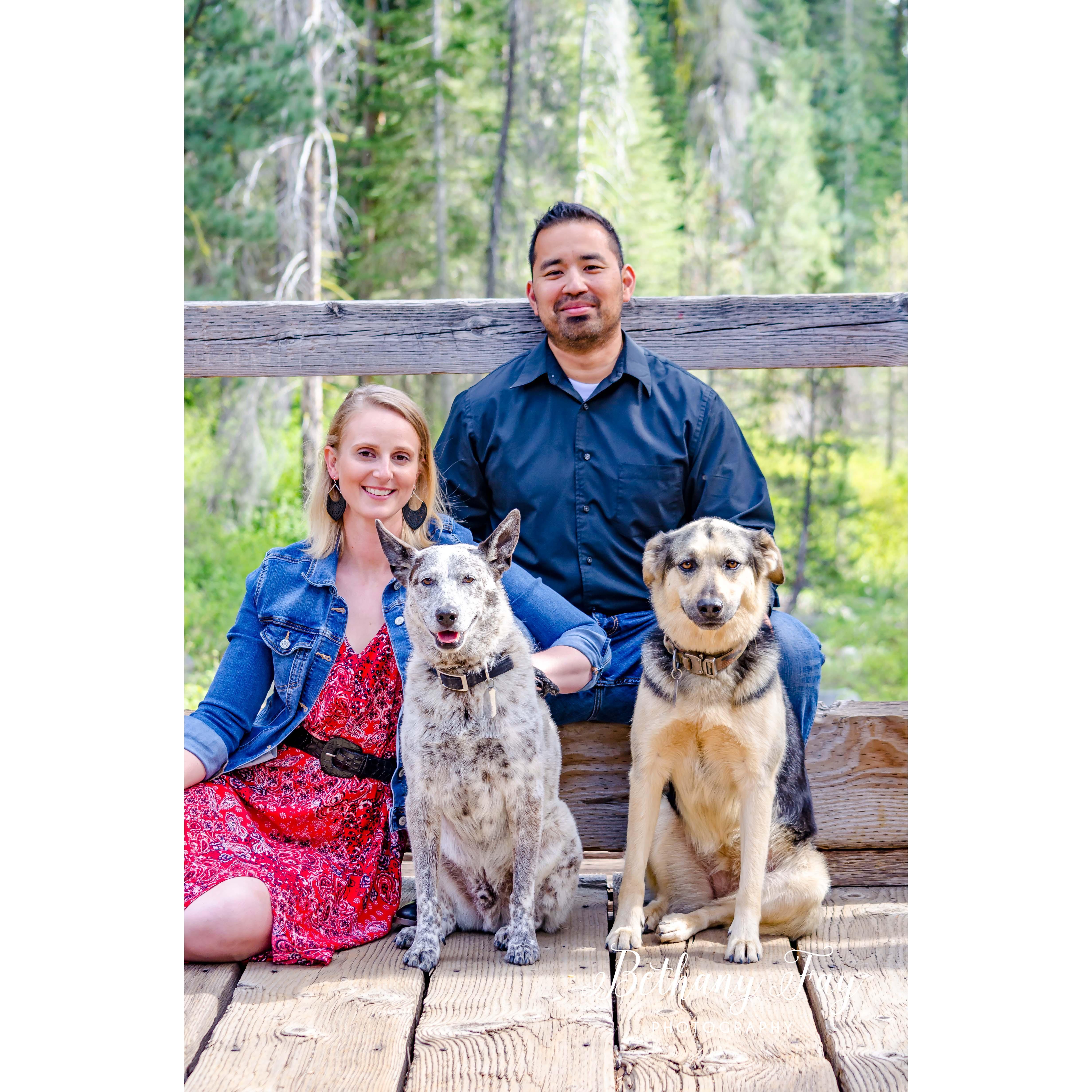 Our first set of professional pictures together. And of course, the dogs had to come along!
