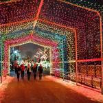 Lincoln Park Zoo Lights