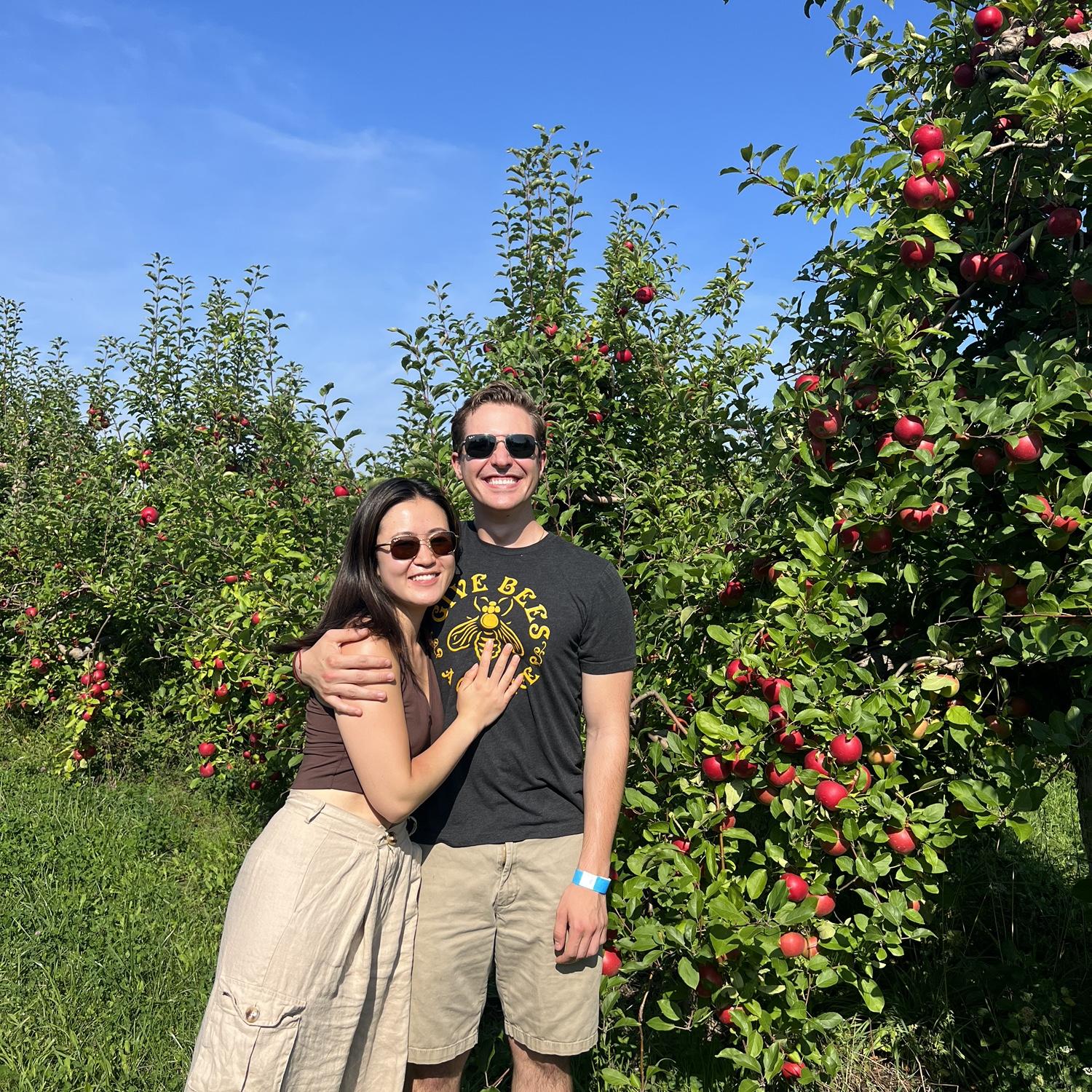 September 2023: Our favorite hobby is picking fresh fruit from trees
