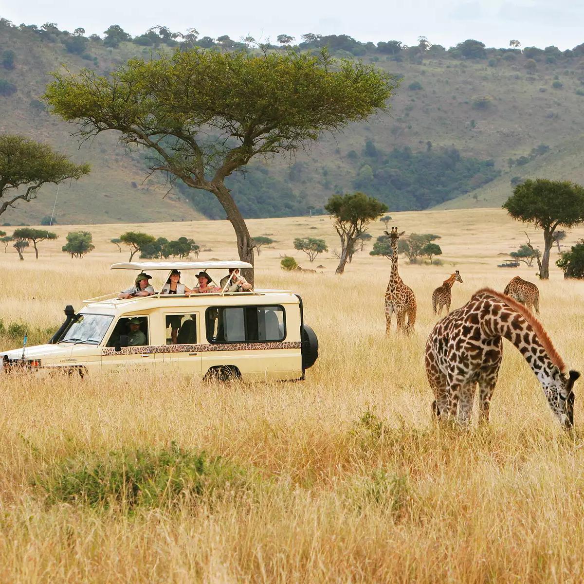 Honeymoon Fund: 1 Day of Safari in Kenya