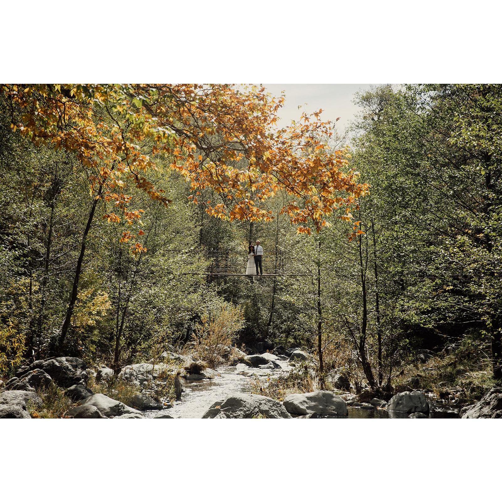 Orchard Canyon

Photo by Caitlyn Jennings