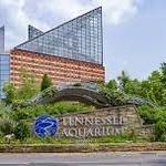 Tennessee Aquarium