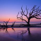 Driftwood Beach