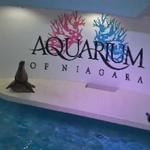 Aquarium of Niagra
