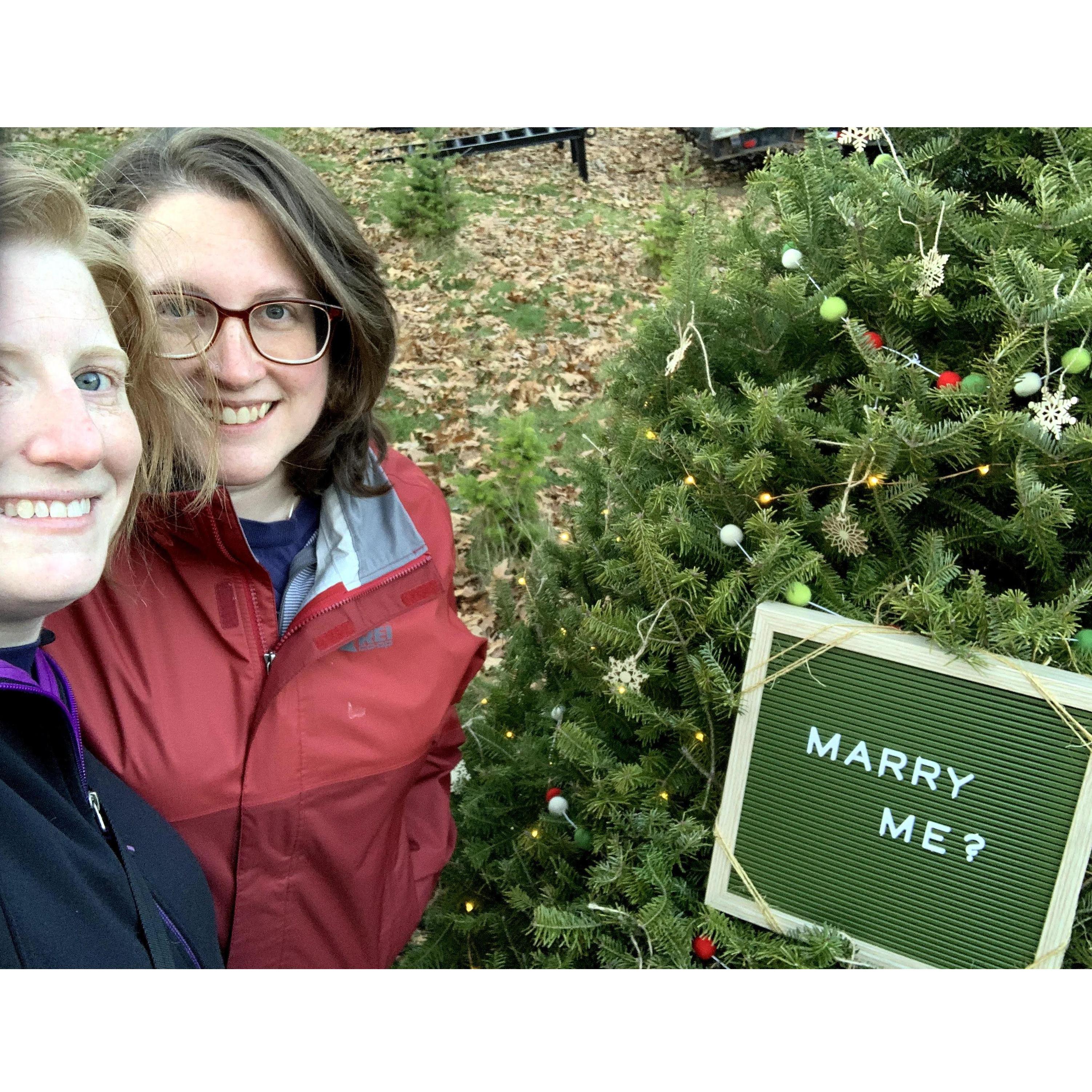 Getting our Christmas tree at the Deerfield Tree Farm in Millis