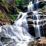 Robert H. Treman State Park