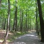 Tourne County Park, Boonton Access