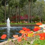 Brookgreen Gardens