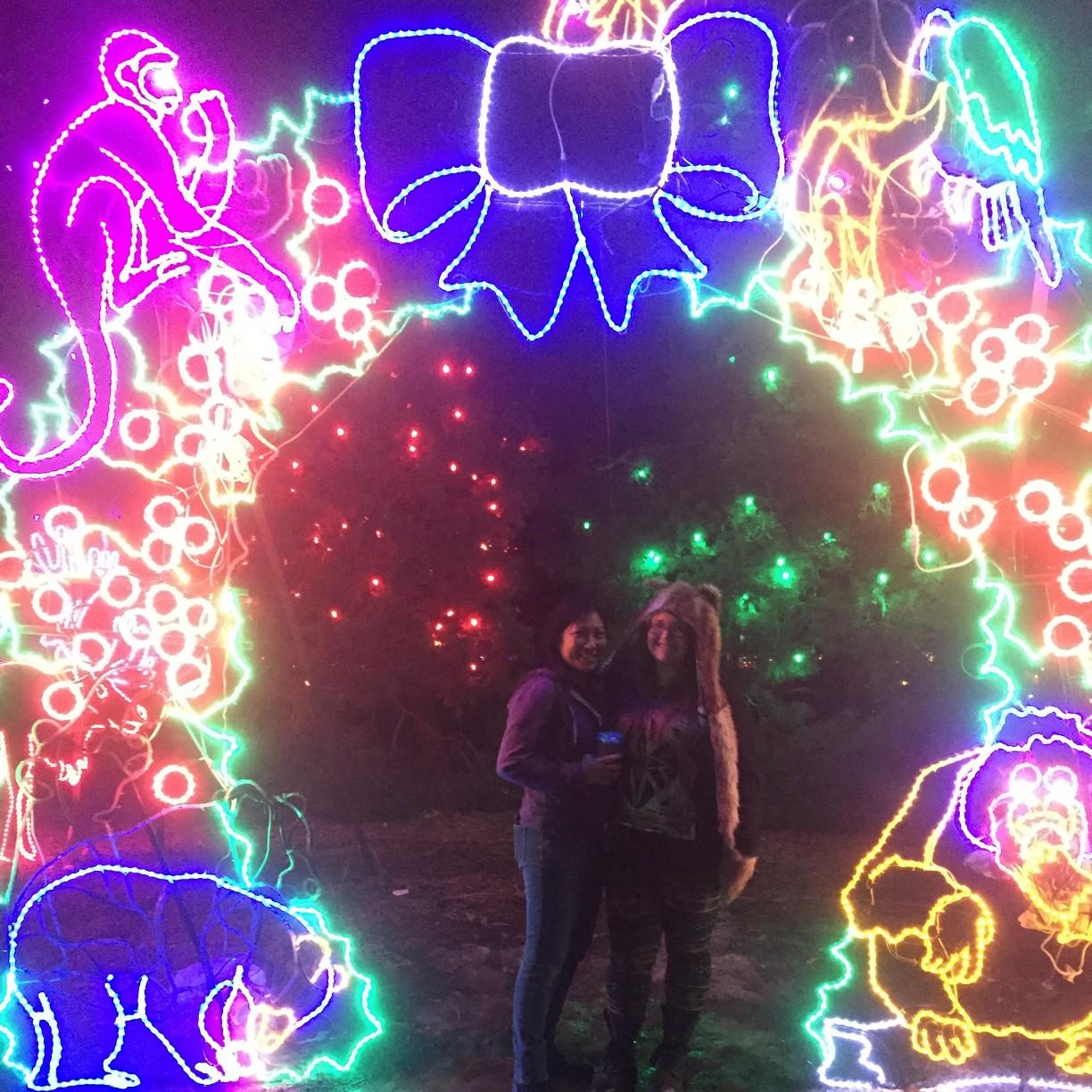 Denver Zoo, 2016
