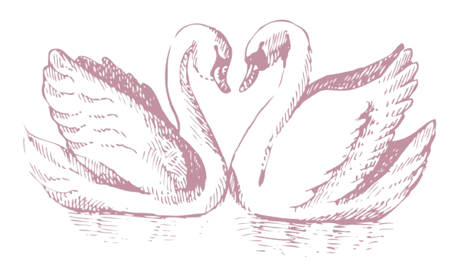 The Wedding Website of Tia Kraynak and Austin Orenstein