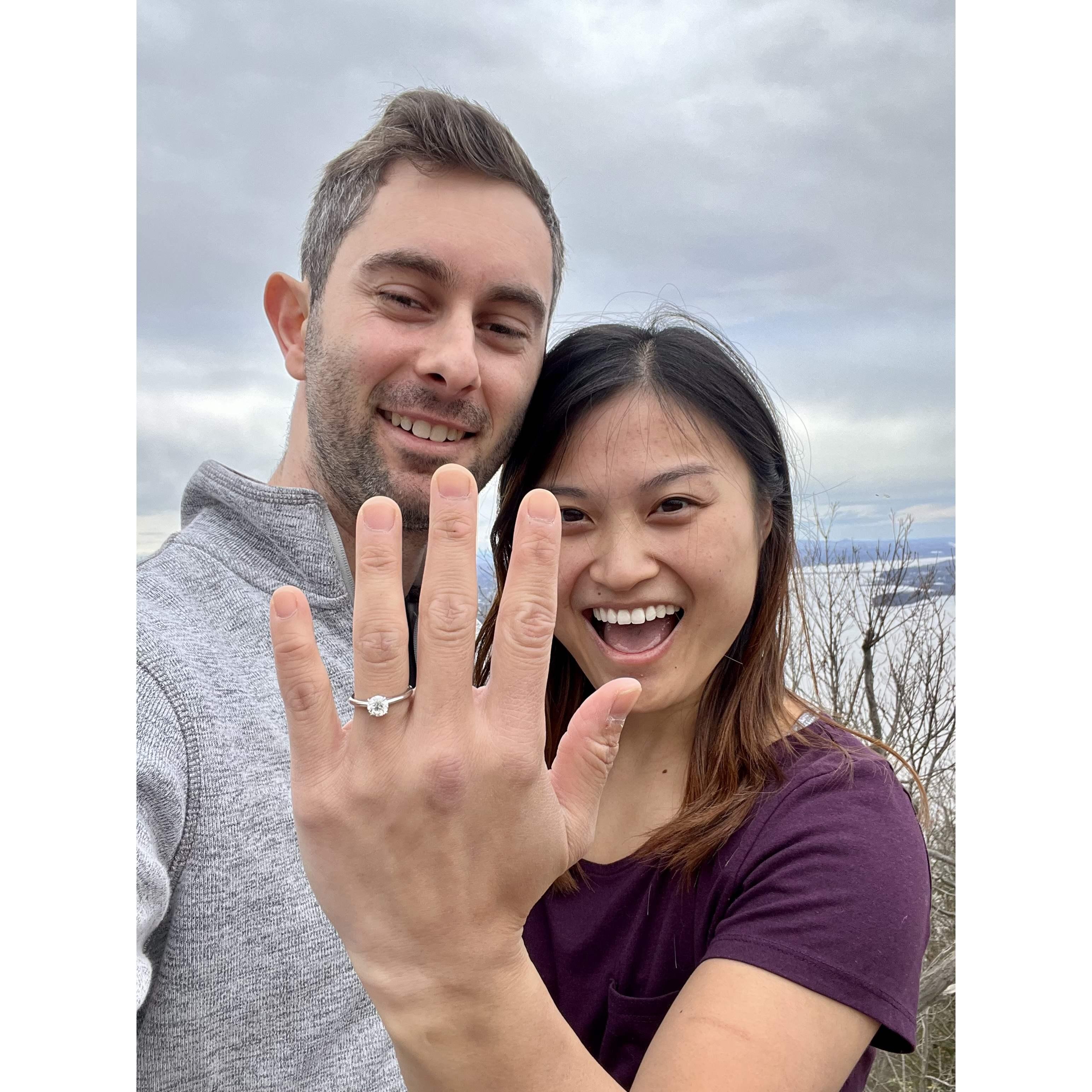 The proposal!