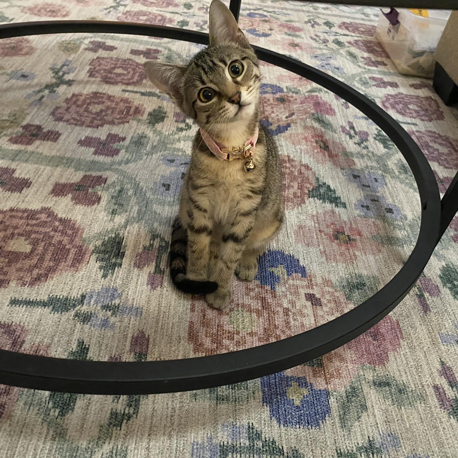 Mona