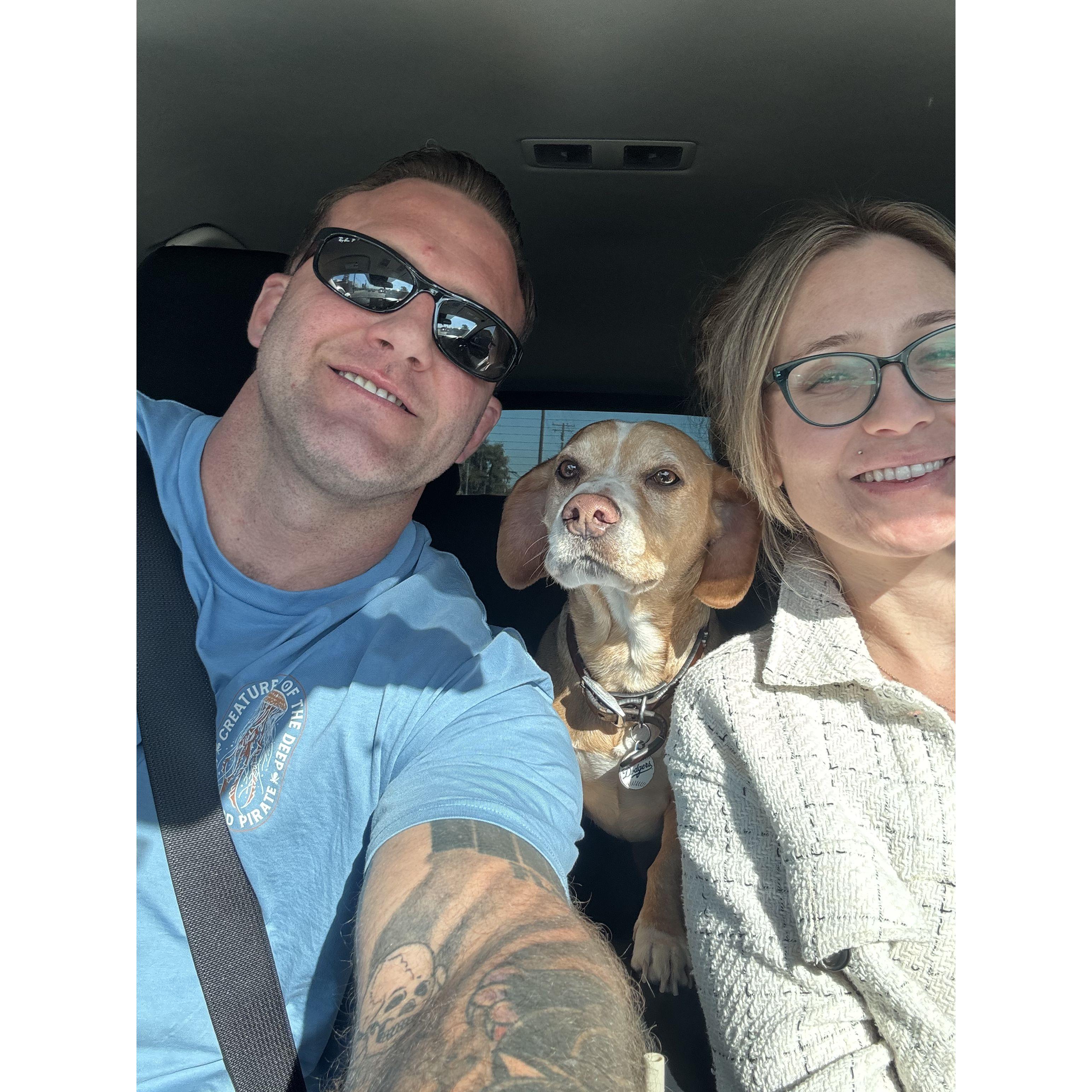 Picking up our Milo after a quick trip to Florida.