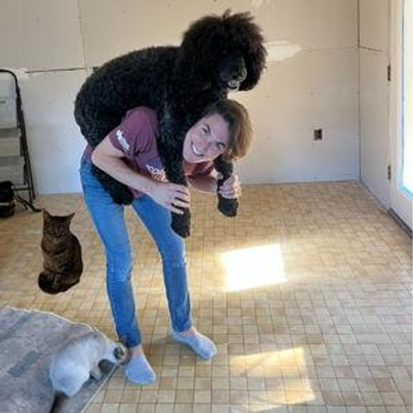 Our Pet Toy Fund