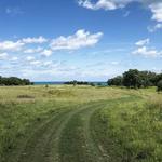 Fort Sheridan Forest Preserve