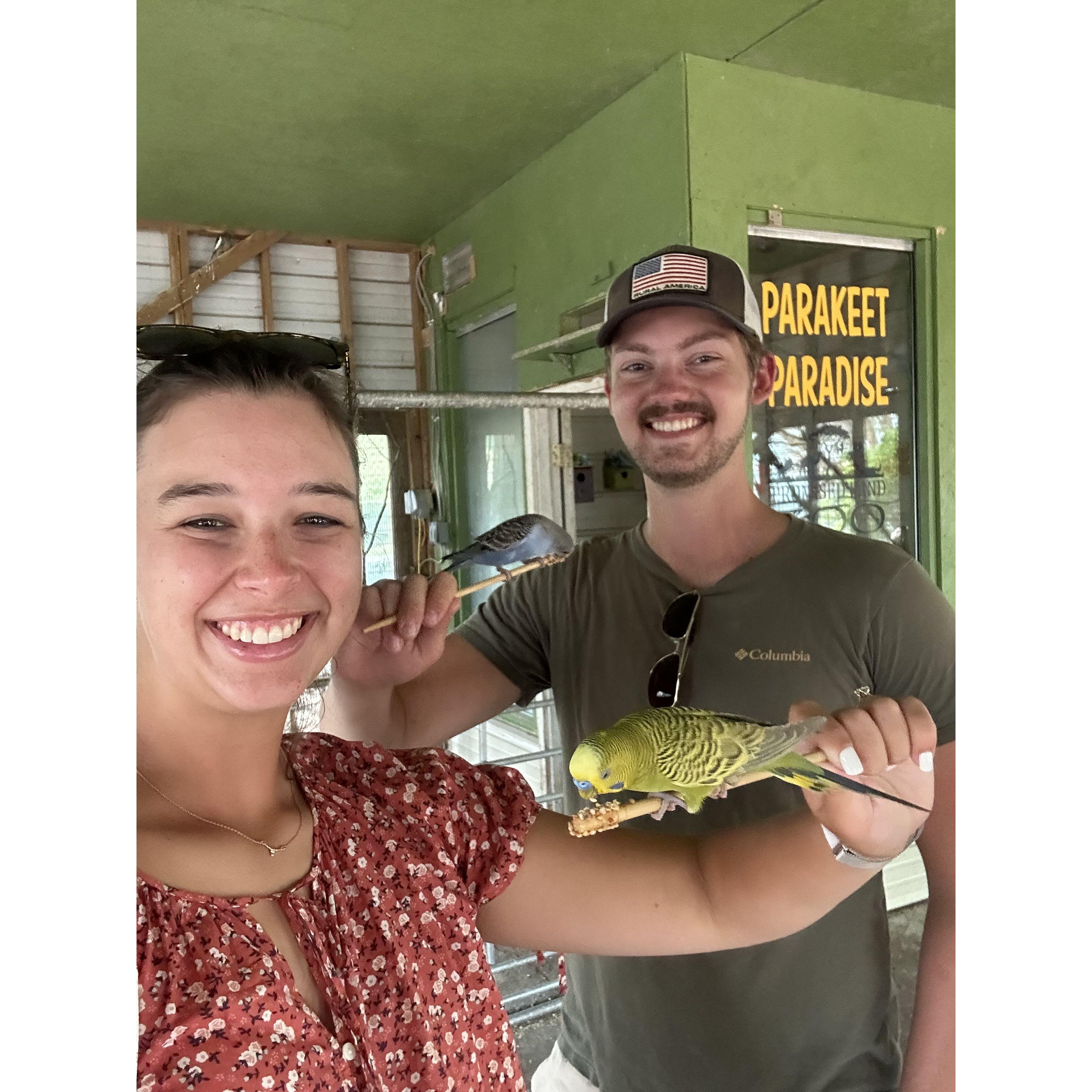 At the drive thru zoo in Branson the day after getting engaged!
7/28/24