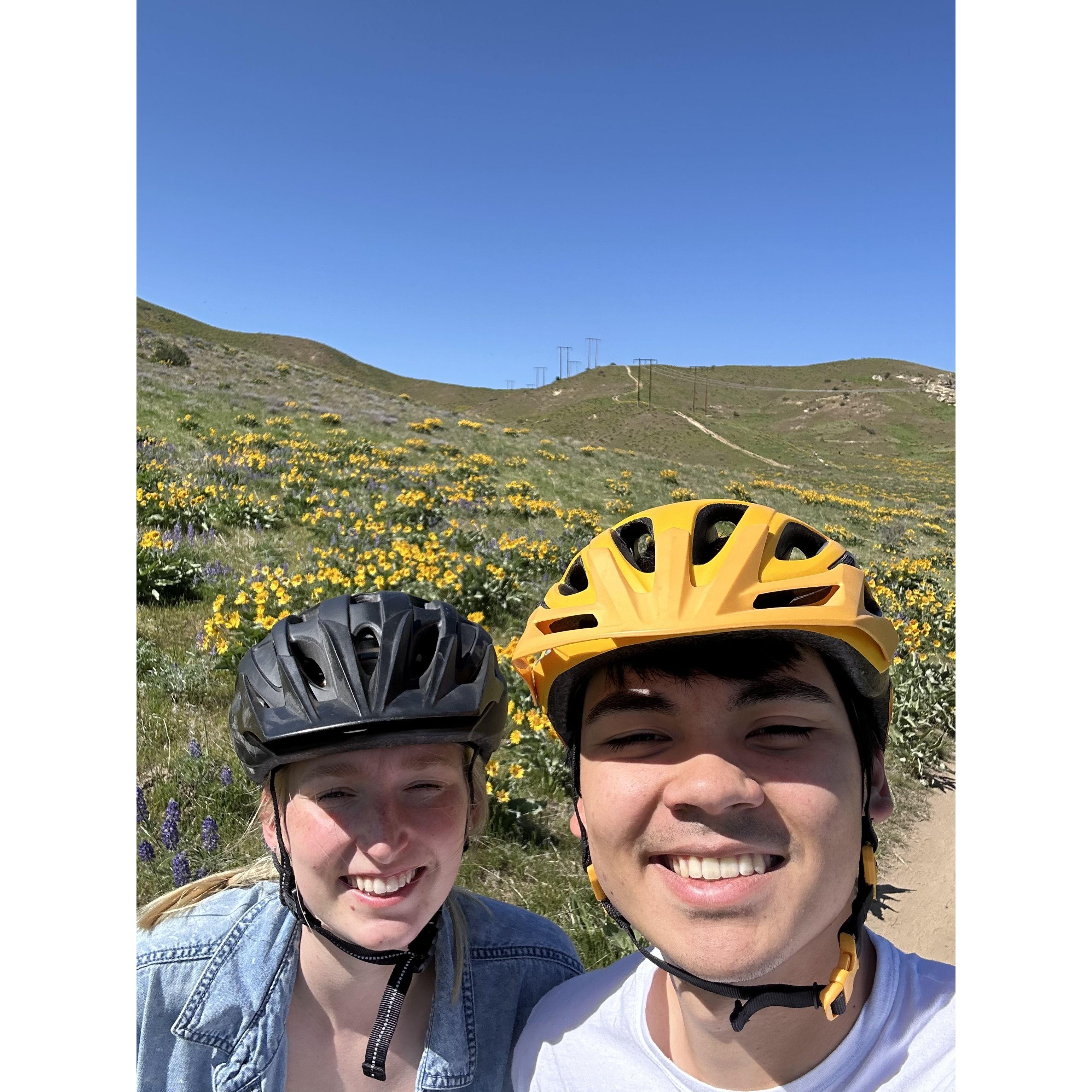 Mountain biking - 2025